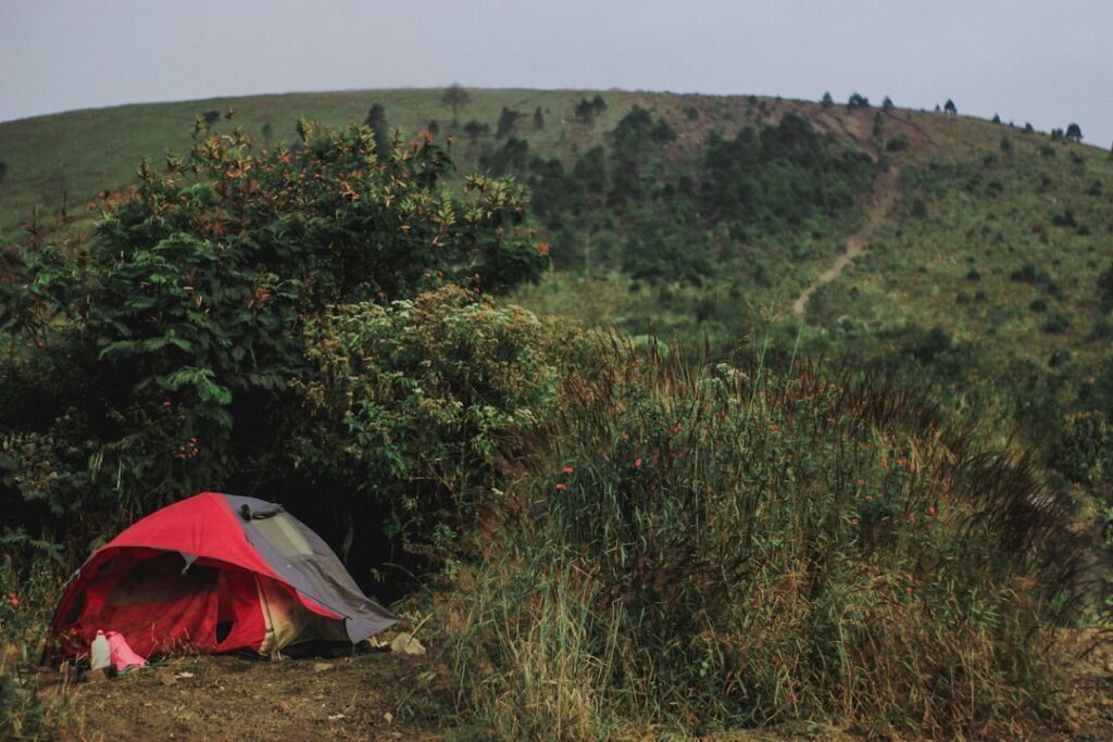 Photo Tent in jungle