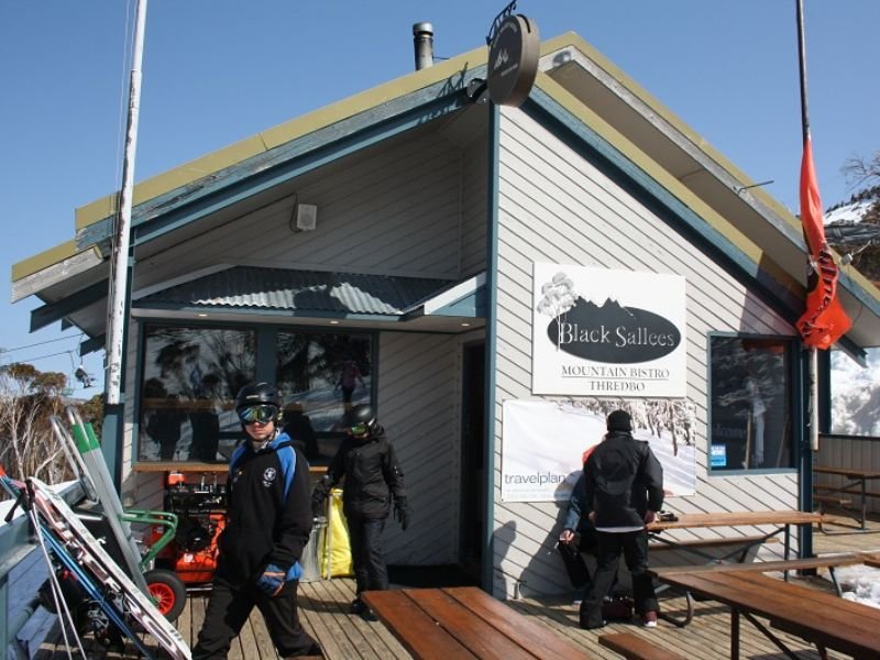 black sallees at thredbo snowy mountains
