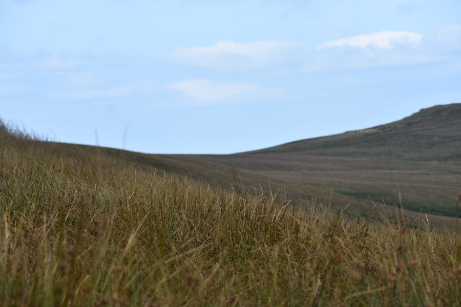 Mount Buller